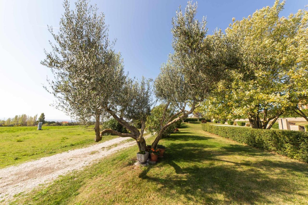 Agriturismo Bella Cima Монтефьясконе Экстерьер фото