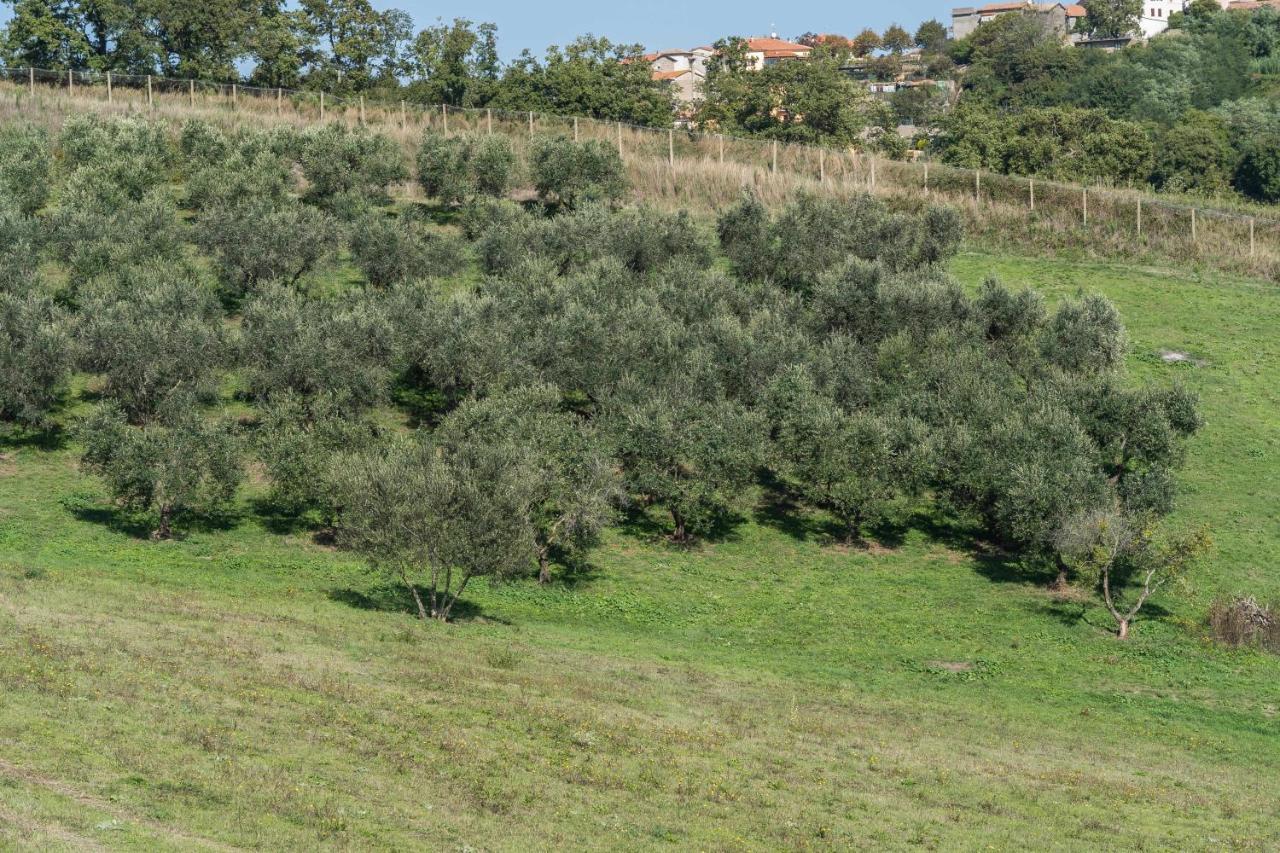Agriturismo Bella Cima Монтефьясконе Экстерьер фото