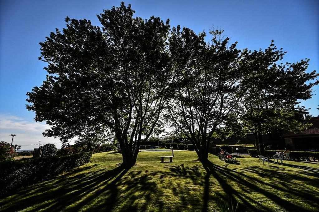 Agriturismo Bella Cima Монтефьясконе Экстерьер фото